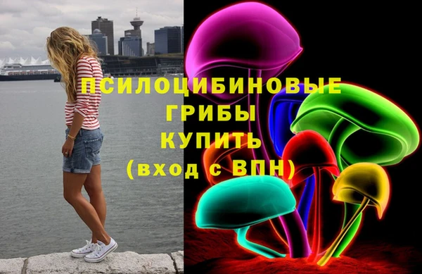 герыч Арсеньев