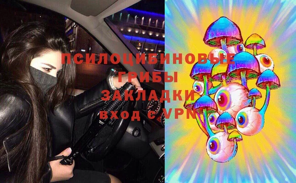герыч Арсеньев