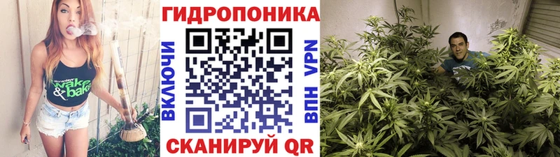 Канабис семена  ОМГ ОМГ онион  Мещовск  где можно купить  